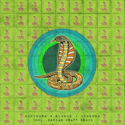 Kapibara & Oluhle - Ithemba (ABRA024) [clips]