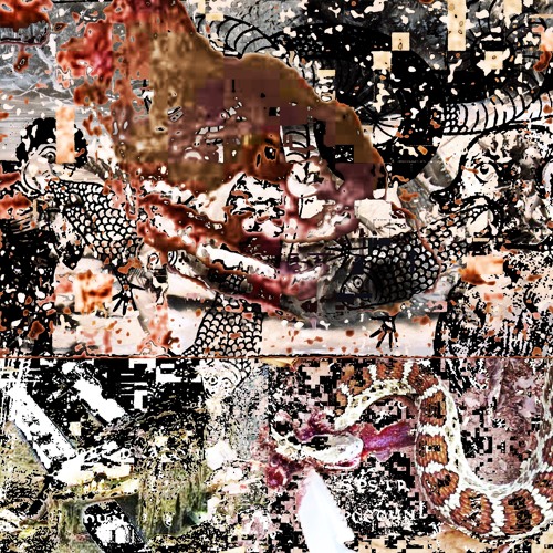 snakeskin (prod. sps)