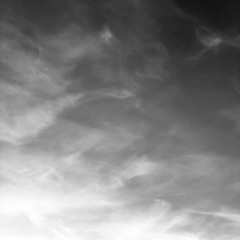 Tech House numero uno