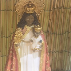 Vivir y morir en Humacao