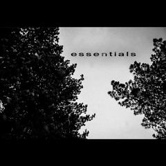 ESSENTIALS 04 | Dimitar Grozev | November 2022