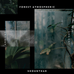 Forest - Atmospheric Ambient Soundscape - Track 05
