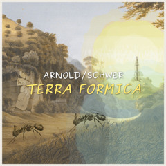 Arnold/Schwer – Extraflorale Nektarien