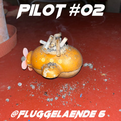 #02 Erinnern Sie sich an mich? @Fluggelanende 6