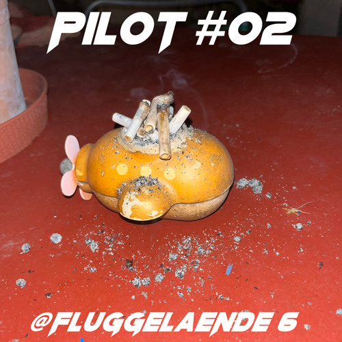 #02 Erinnern Sie sich an mich? @Fluggelanende 6