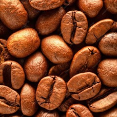 STBB | 894 -Coffee-