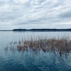 Log_20230117（demo）