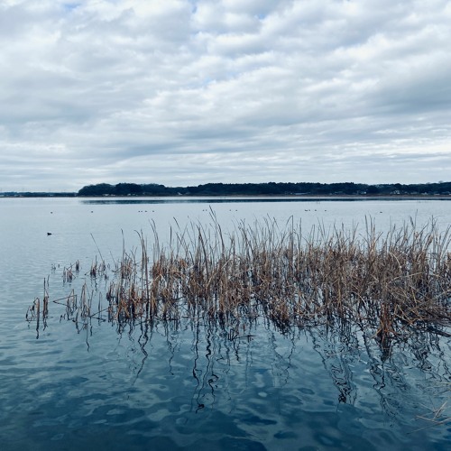 Log_20230117（demo）