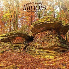 [ACCESS] [EPUB KINDLE PDF EBOOK] Illinois Wild & Scenic | 2023 12 x 24 Inch Monthly S