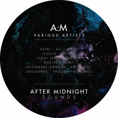 A:M - Various Artists