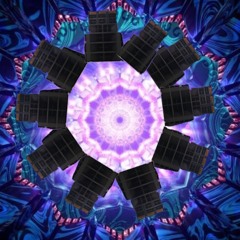 Zotte Acid