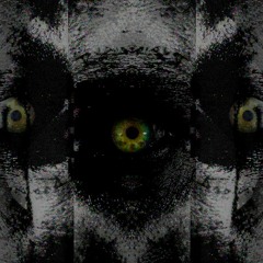 RUDINE - INTERMARCELLUM 2022 - 02 - 22