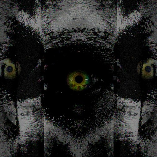 RUDINE - INTERMARCELLUM 2022 - 02 - 22