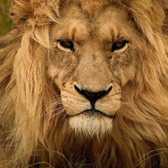 عبد الباسط حمودة - أنا عشت طيب