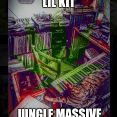 whlsm sht Lil Kit Jungle Massive vinyl/meme mixXx