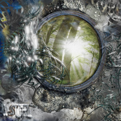 PREMIERE: josê vicentę - Antartica Heatwave [VISCERAL]