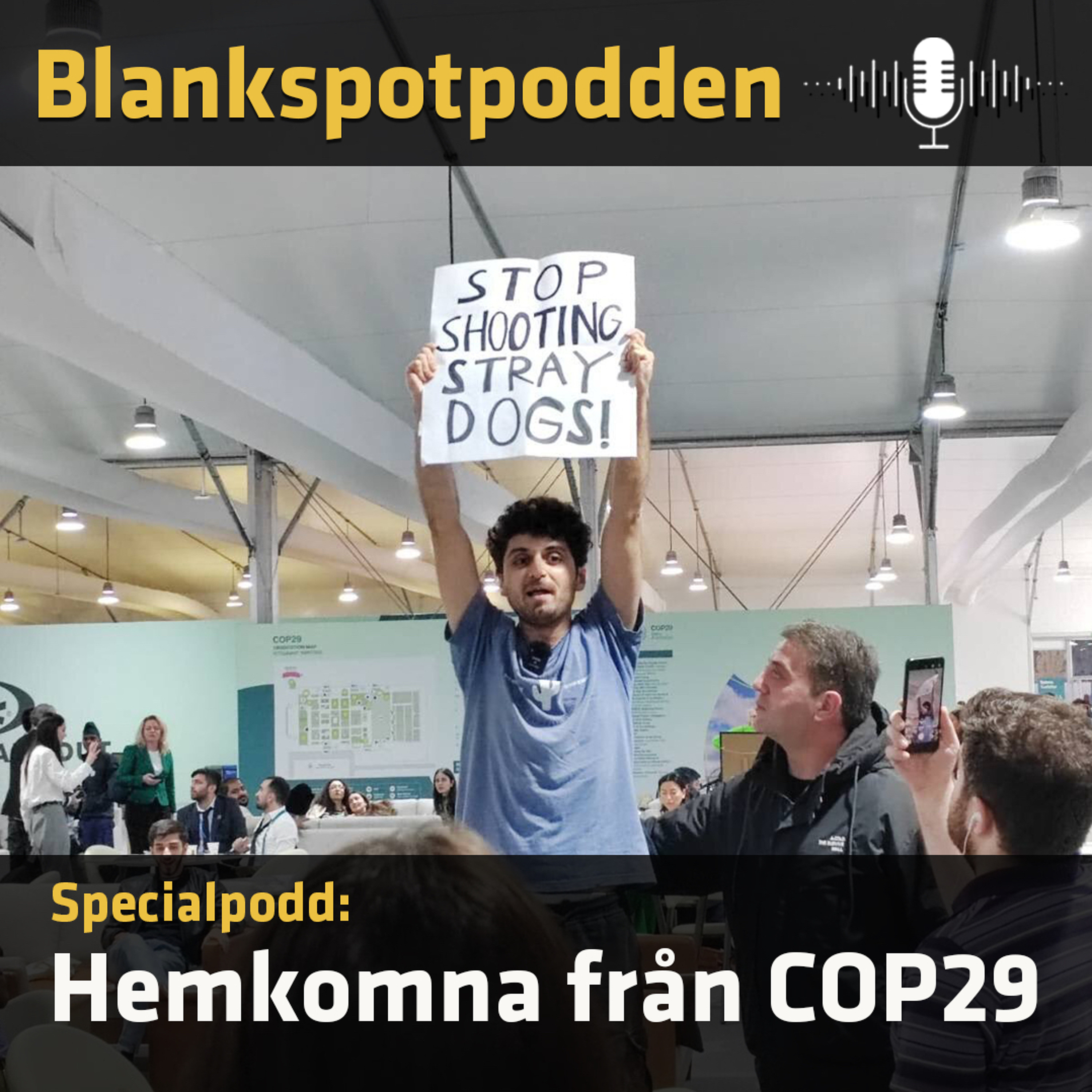 Blankspotpodden