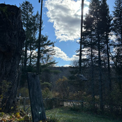 Thanksgiving / My Only Fan