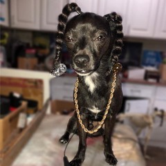 Vinnie Sniffs Feet (ft Ducki)