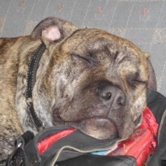 Do not play with fire outro