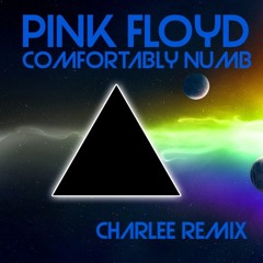 Pink Floyd - Comfortably Numb (Charlee House REMIX)