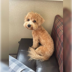 ДЖЕКСОН В КЕПКЕ