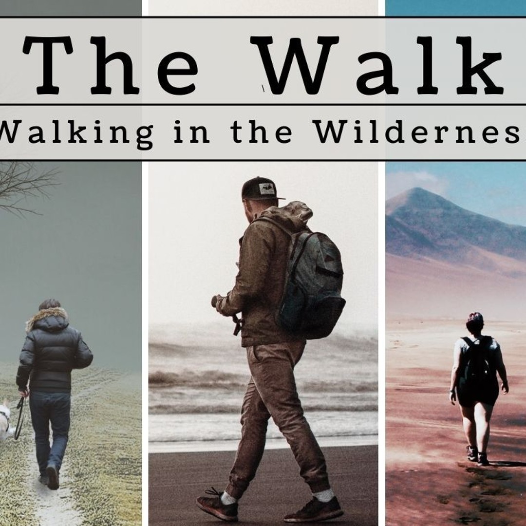 Walking in the Wilderness
