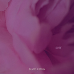 Survive - Lewis Capaldi (Thamos Remix)