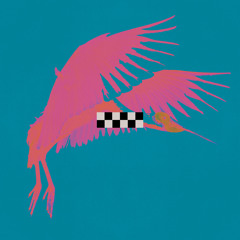 Free Bird (Extended Version)