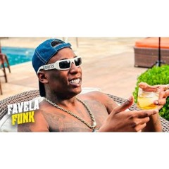 VOLTEI COM 5 DO JOB - CIDADE DO DESACATO - MC Negão Original