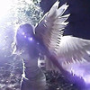 Night, Blooming Jasmine Hardtekk - slowed — cover