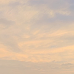 빠씽꼬레 (八神过来) - DJMuchY