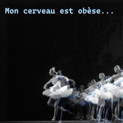 Mon Cerveau Est Obèse