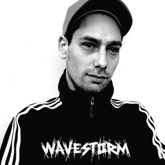 Wild Motherfuckers - Fother Mucker (Wavestorm HardTechno Remix)(Radio Edit)