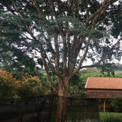 19.02.2022 - Cap. X - Bem Aventurados os Misericordiosos - Perdoai Para que Deus vos Perdoe (3)