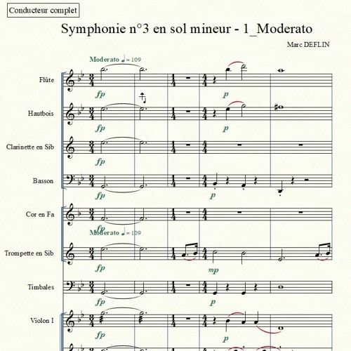 Symphonie n°3 en sol mineur - 1_Moderato