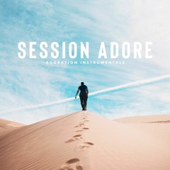 Session ADORE - Persévère - Bruno PICARD