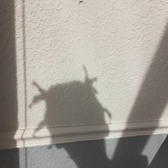 MAMA SAID KNOCK YOU OUT REMIX