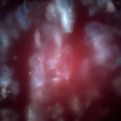 Airplaine feat. Anujan