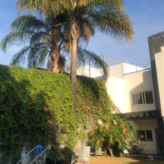 Suigely (prod. Nico) [demo]