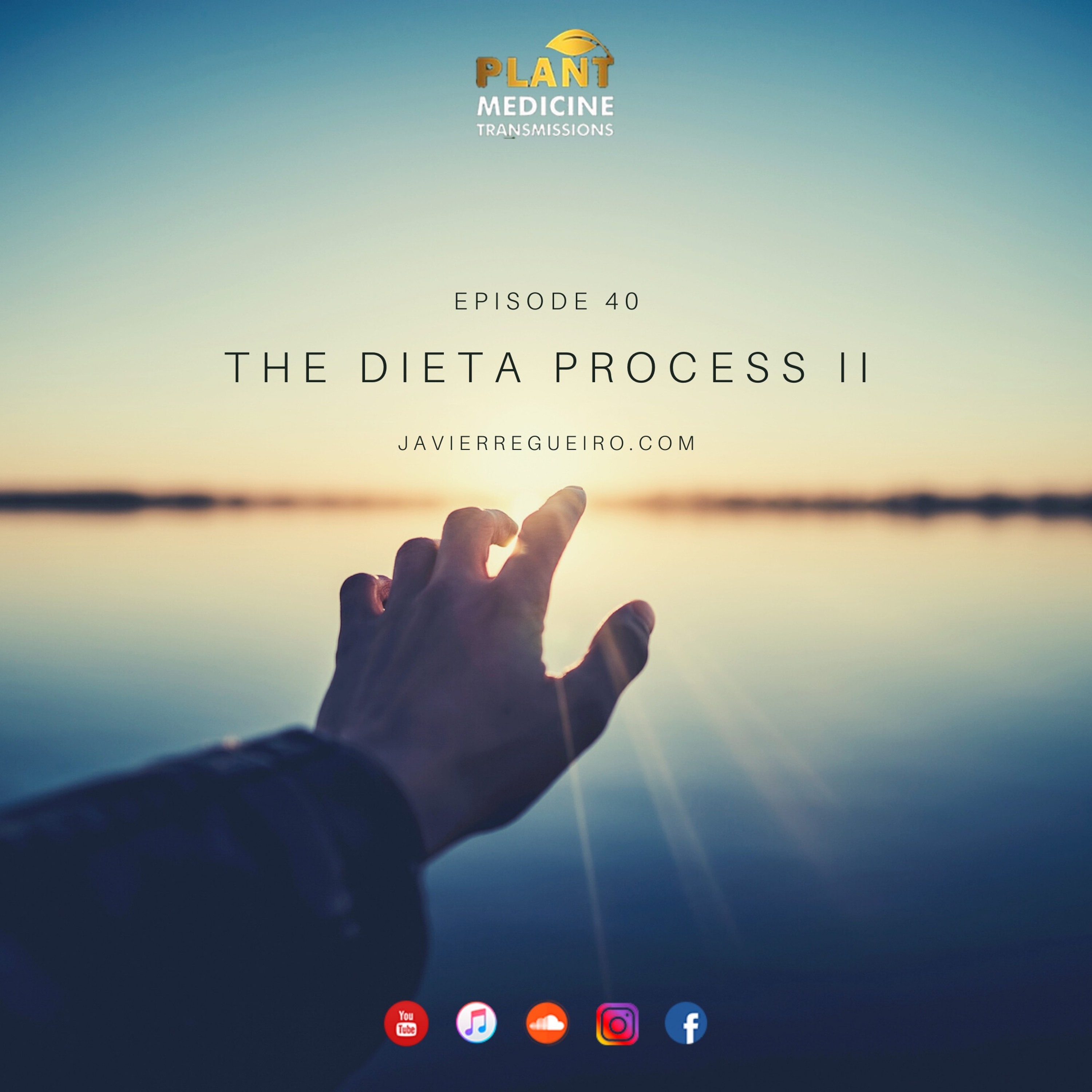 # 40: The Dieta Process II