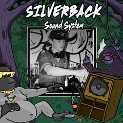 DNB // SERVA - SILVERBACK SUNDAY SESSIONS
