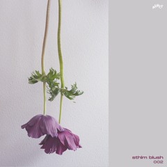 Jordens Mittpunkt