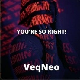 You’re So Right! – VeqNeo