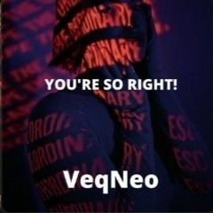 You're So Right! - VeqNeo