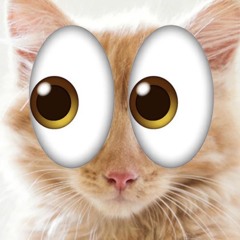 friend too.wav prod 44mauri