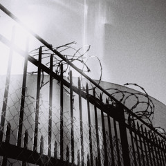 Delphinium ft Curious (prod.Rubbish)