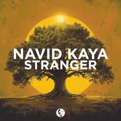 Navid Kaya - Stranger (Original Mix) | Steyoyoke