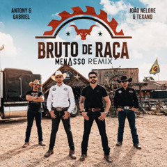 Antony & Gabriel, João Nelore & Texano - Bruto de Raça (MENASSO Remix) Pitched Preview