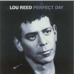 Perfectday Sop Mix